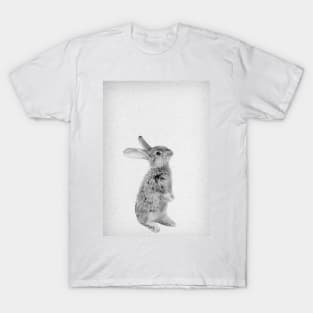 Rabbit 11 T-Shirt